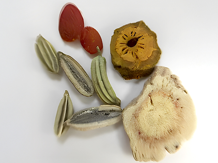 漢方薬は、品質が何よりも大切です。同じ処方名でも、生薬の品質によって効果に大きな差が生じます。