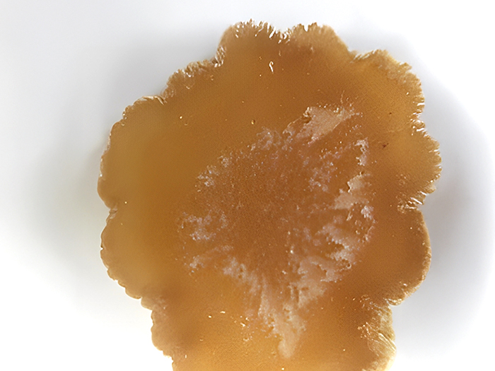 そして、飲みやすい漢方薬ほど、その効果を十分に発揮できます。